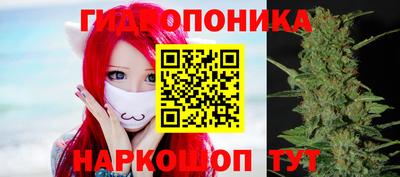 шишки Краснокаменск