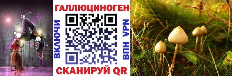 блэк спрут tor  Елец  Галлюциногенные грибы GOLDEN TEACHER 